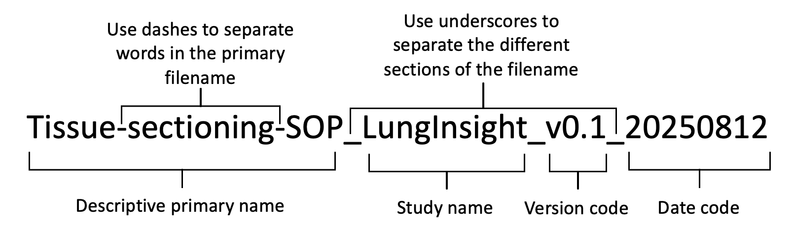 A diagram of a study Description automatically generated